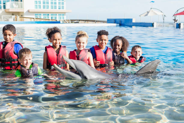 istock Multi-ethnic children playing in water with dolphin 949475120