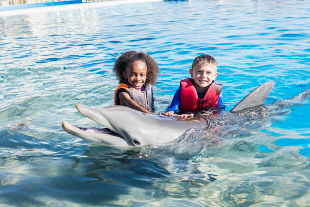 Two children standing in water petting dolphin