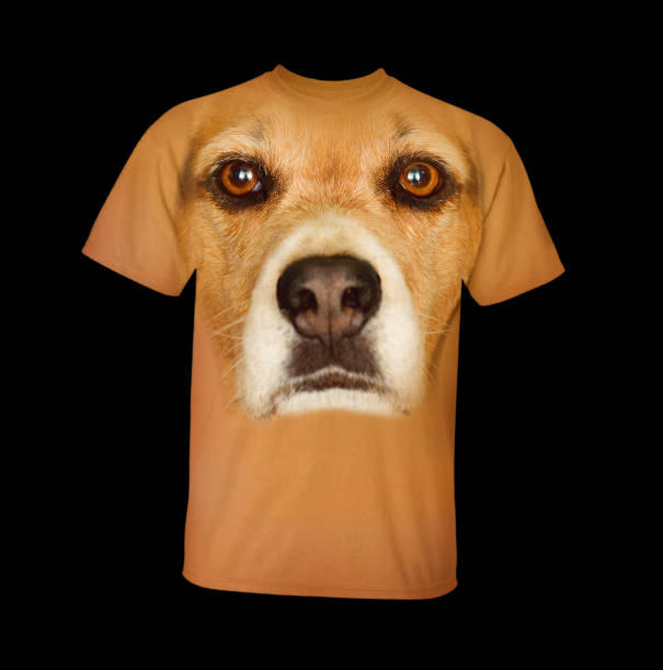 portrait of funny puppy dog ââclose up indoors