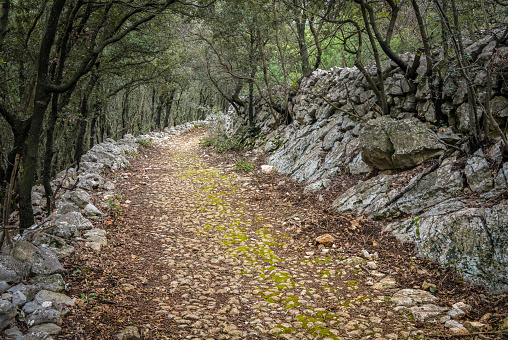 Old roman road through the forest near Cres in Croatia