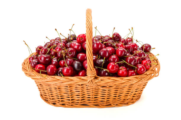 istock Sweet cherries (Prunus avium) in wicker basket 949483008