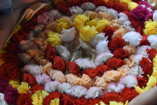 istock Flowers and donating money 949488798