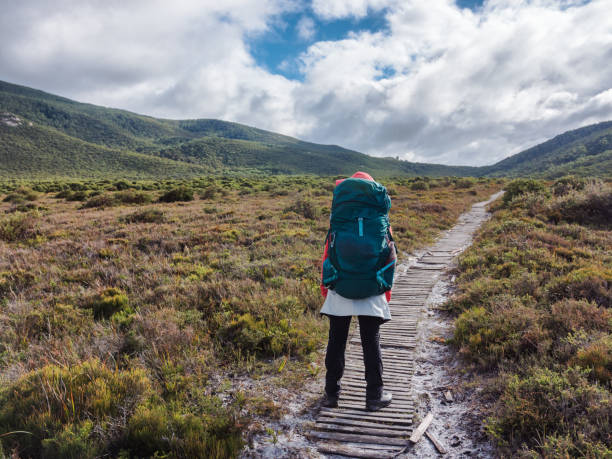 istock woman backpacker on the trail 949496188