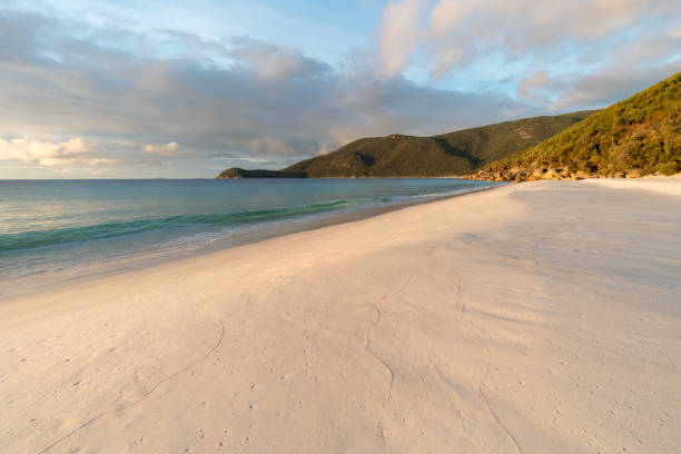 istock White sand beach in the Wilsons Promontory 949496394