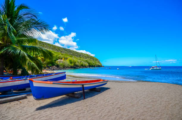 Caribbean Martinique beach beside traditional fishing boats Caribbean Martinique beach beside traditional fishing boats french overseas territory photos stock pictures, royalty-free photos & images