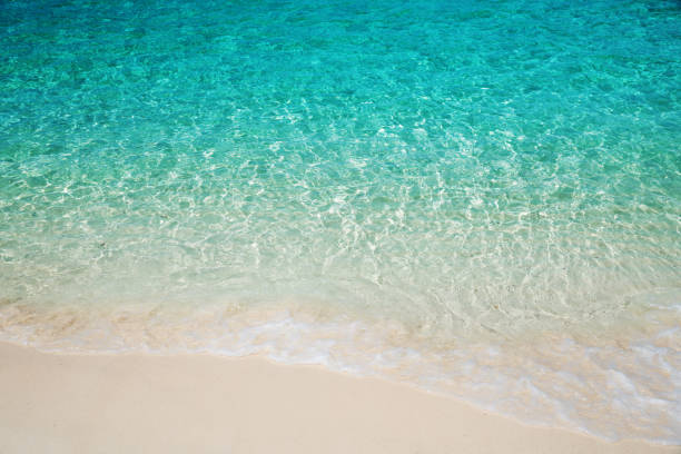 istock Wave of tropical sea beach on white sand 949507482