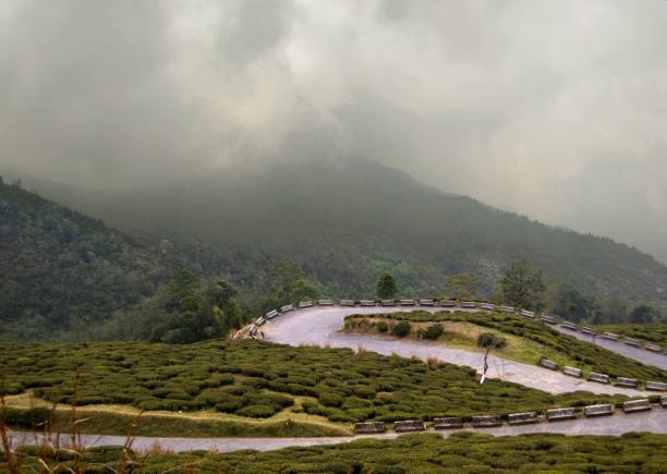 górska droga przez plantacje herbaty - darjeeling zdjęcia i obrazy z banku zdjęć