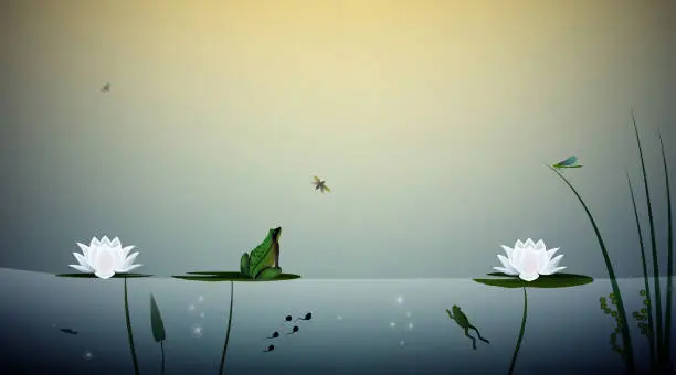 Vector illustration of frog lives in the pond, the frog hunt butterfly on the leaves of the lily, pond scene,