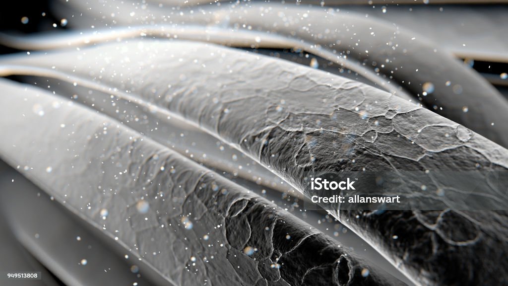 Microscopic Hair Strands A microscopic macro closeup view of strands of textured hair or fibers - 3D render Hair Stock Photo