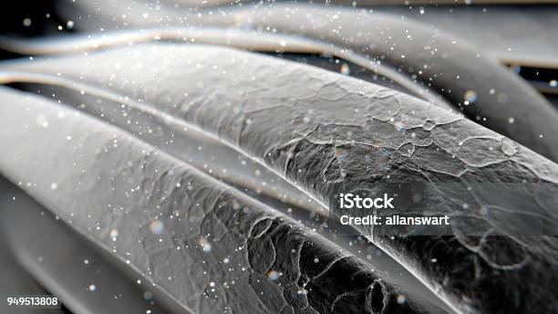 Microscopic Hair Strands Stock Photo - Download Image Now - Hair, Magnification, Close-up