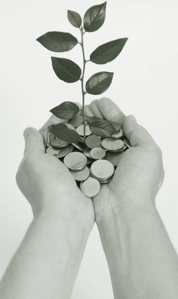 istock Hand holding tree growing on coins .saving money. 949514218