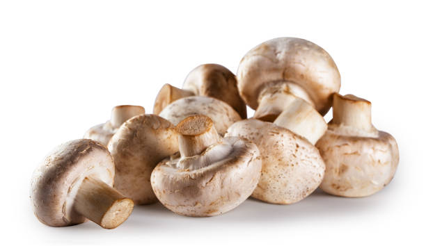 istock Pile of raw mushroom champignon isolated on white background 949520142