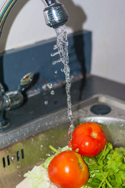 istock Two red fresh tomatoes and green pasley are being cleaned  by water falling down from tab in silver kitchen sink, food ingredient preparation 949529782