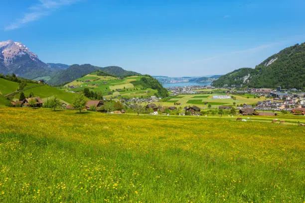 A springtime view from the foot of Mt. Stanserhorn in the Swiss canton of Nidwalden, summit of Mt. Pilatus, Lake Lucerne and buildings of the town of Stans in the background.