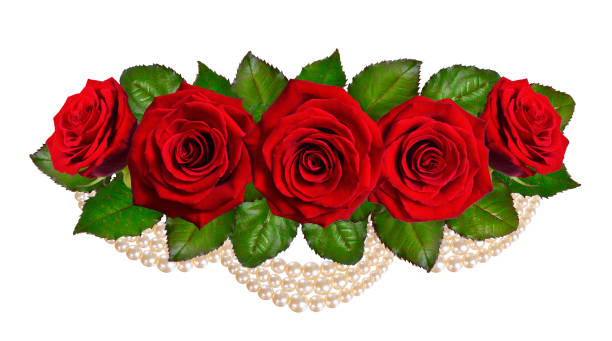 istock Composition with red roses and pearls.  Isolated on white background 949554174