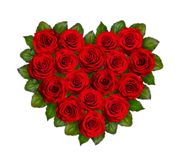 istock Heart of red rose. Isolated on white background 949562050