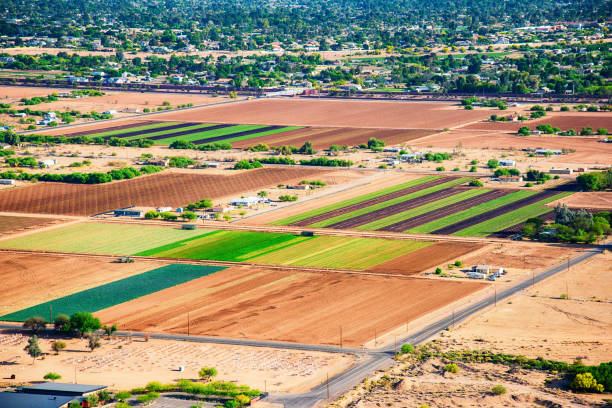 istock Farmland in Arid Arizona Climate 949564492