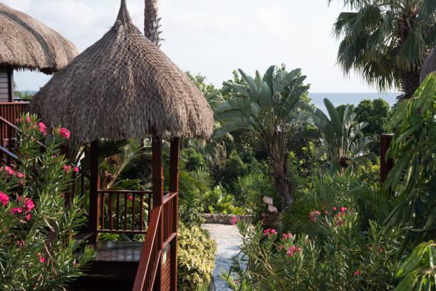 istock Tropical beach resort - ecolodge and surrounding rainforest 949572282