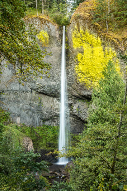 istock Latourell Falls in the Columbia River Gorge, Oregon 949578312