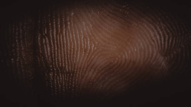 라이프 스타일 사진 - biometrics touching glass fingerprint 뉴스 사진 이미지