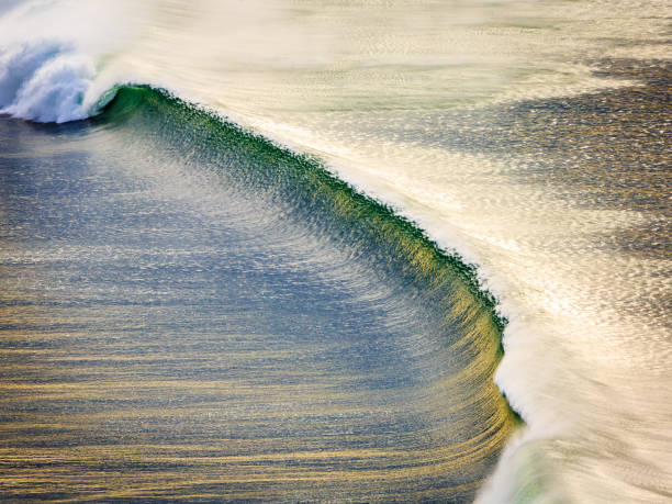 istock Aerial view of a barrel ocean wave about to break 949584962