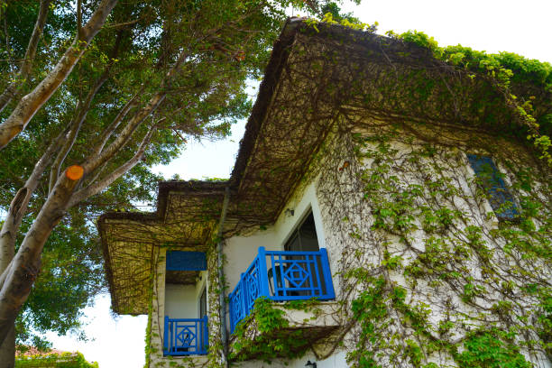 istock Traditional Turkish house covered by green ivy 949589926