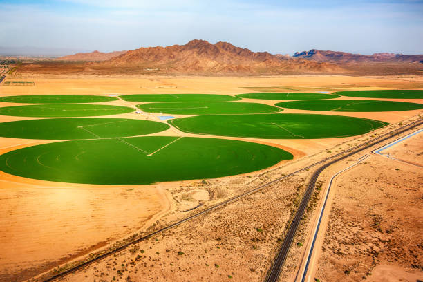 campos de cultivo circulares en el desierto - plowed field field fruit vegetable fotografías e imágenes de stock