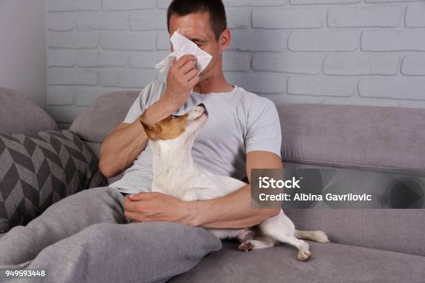 Mann Mit Haustier Allergiesymptome Schnupfen Asthma Stockfoto und mehr Bilder von Allergie