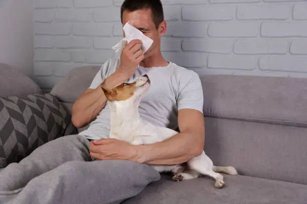 Photo of Man having pet allergy symptoms : runny nose, asthma