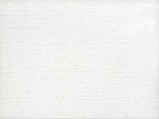 배경 또는 텍스처에 대 한 섬세 한 격자 캔버스 화이트 - 전문가용 캔버스 뉴스 사진 이미지