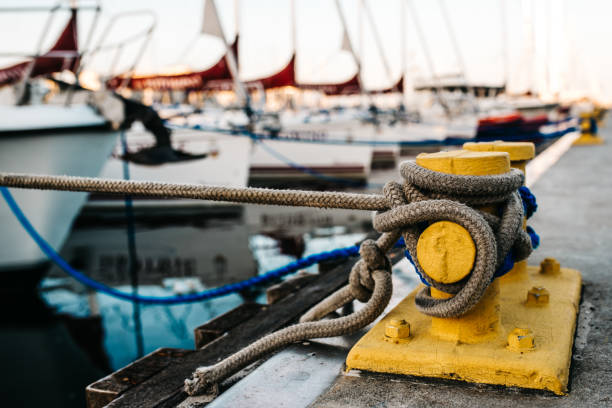 istock Yachts in gavagni tied to pier 949603358