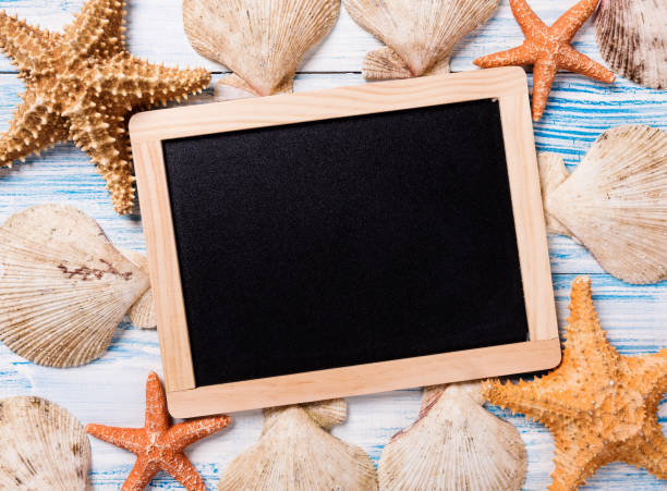 istock Tropical chalkboard with seashells on blue wooden background 949610990