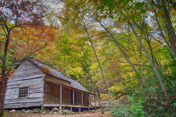 istock Mountain log cabin homestead 949614164