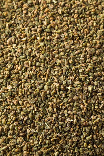 istock Healthy Dry Organic Celery Seeds 949614376