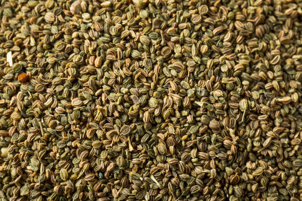 Healthy Dry Organic Celery Seeds