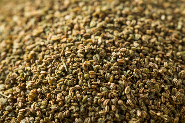 istock Healthy Dry Organic Celery Seeds 949615164