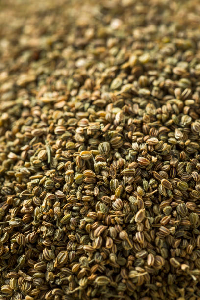 istock Healthy Dry Organic Celery Seeds 949618180