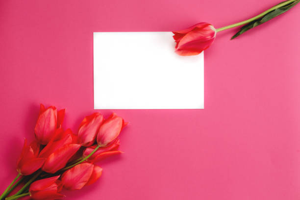 istock Tulips and a white sheet of paper. 949618240