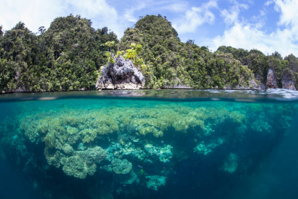 istock Shallow Coral Reef and Rock Islands 949618722