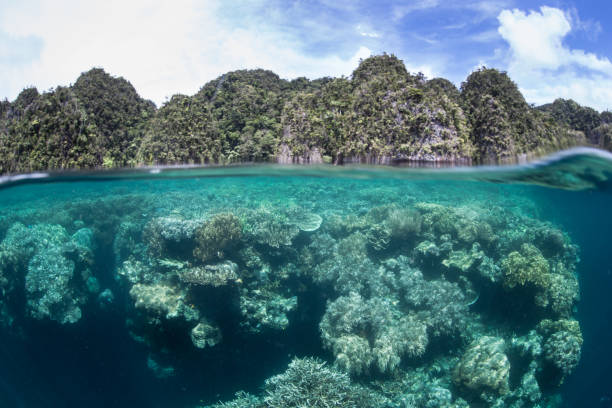 istock Shallow Reef and Rock Islands 949618956
