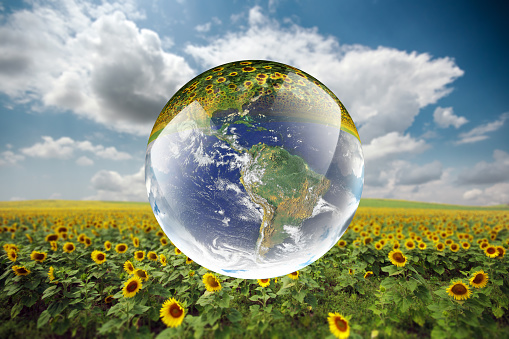 Crystal ball reflecting globe of the earth in sunflower field\nhttps://upload.wikimedia.org/wikipedia/commons/d/db/Nasa_blue_marble.jpg