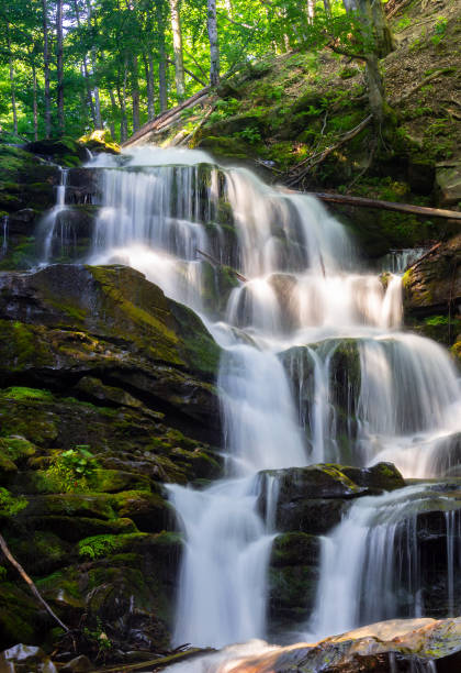 istock cascades of big waterfall in forest 949630050