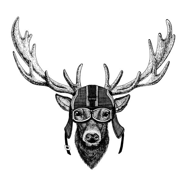 Deer Hipster animal wearing motorycle helmet. Image for kindergarten children clothing, kids. T-shirt, tattoo, emblem, badge, logo, patch vector art illustration