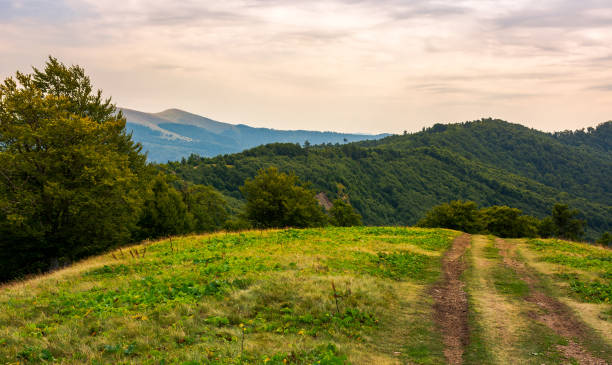 istock mountain road through hillside with forest 949638750