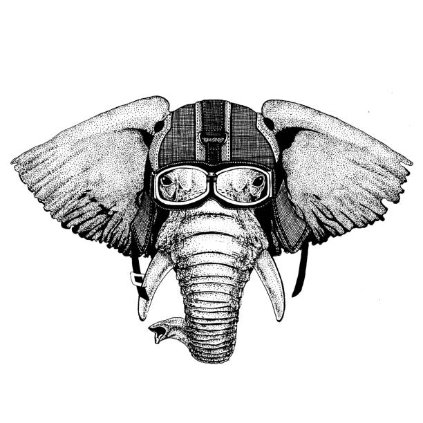 Elephant, indian or african elephant Hipster animal wearing motorycle helmet. Image for kindergarten children clothing, kids. T-shirt, tattoo, emblem, badge, logo, patch Animal wearing motorycle helmet. Image for kindergarten children clothing, kids. T-shirt, tattoo, emblem, badge, logo patches elephant drawings stock illustrations