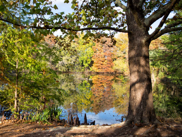 istock Autumn colors reflected on the lake 949647420