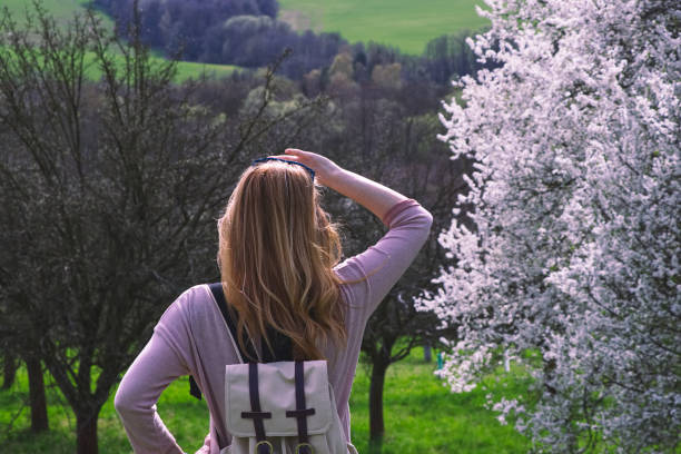 istock Woman traveler standing in blossoming orchard at springtime 949657602