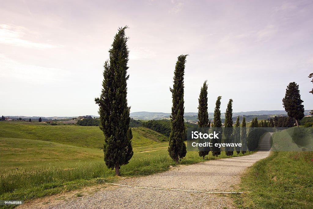 Toskana Landschaft mit cypress gesäumter rural road - Lizenzfrei Anhöhe Stock-Foto