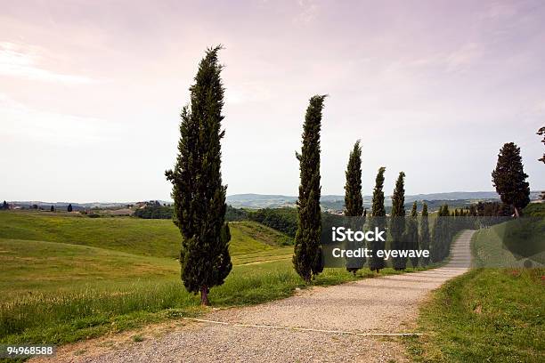 Toskana Landschaft Mit Cypress Gesäumter Rural Road Stockfoto und mehr Bilder von Anhöhe