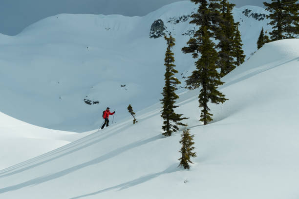 istock Male Backcountry Ski Touring 949686000